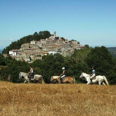 Luciano E Norma House Il Rustico * Gerfalco